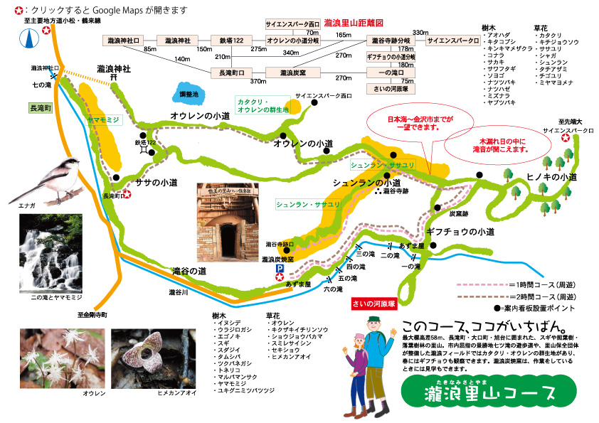 瀧浪里山コースマップ